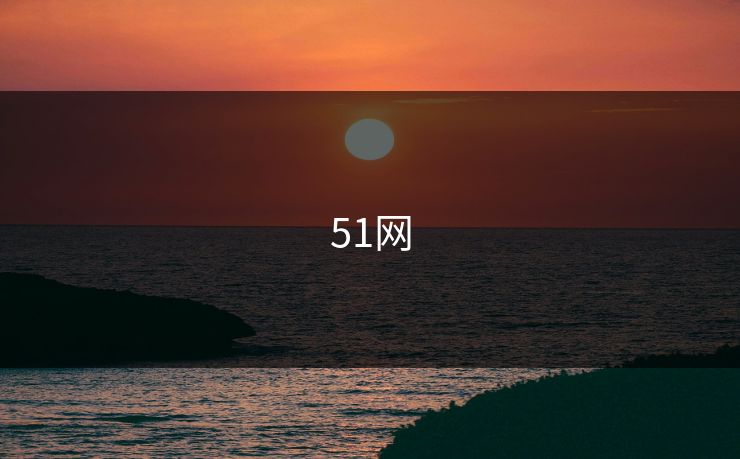 51网