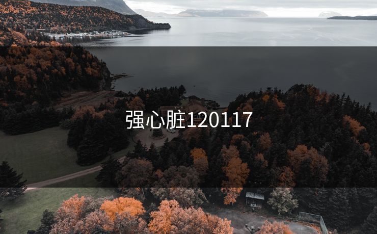 强心脏120117
