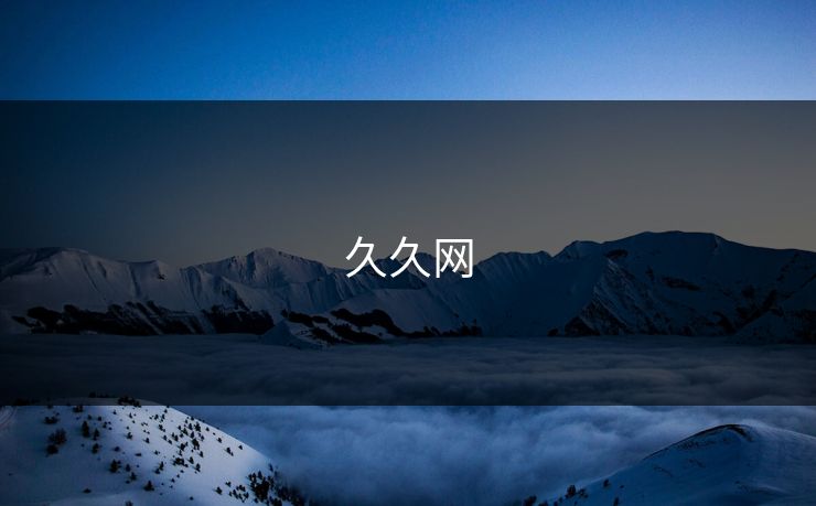 久久网