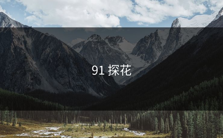 91 探花