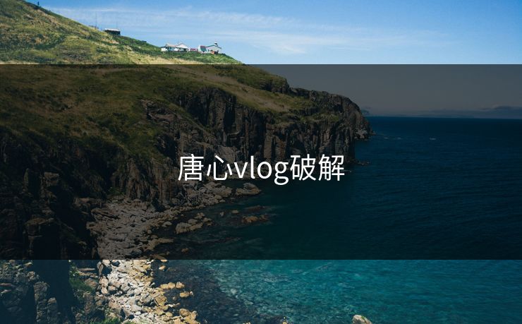 唐心vlog破解