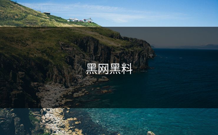黑网黑料