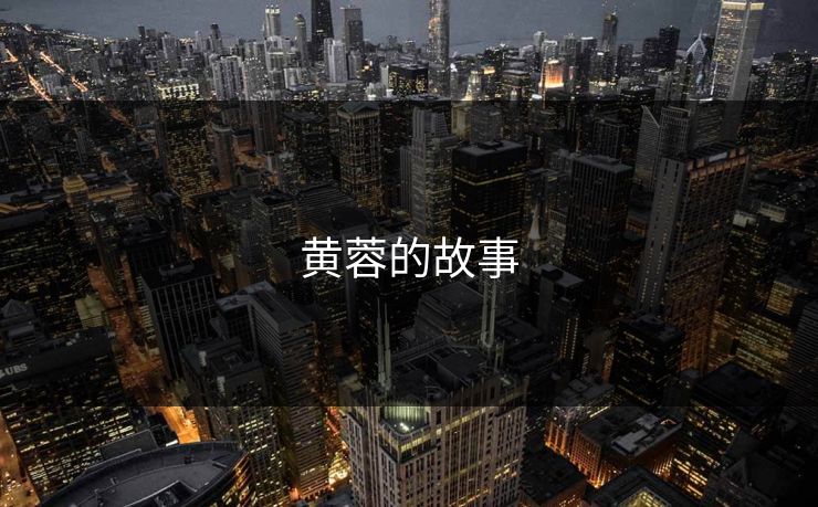 黄蓉的故事