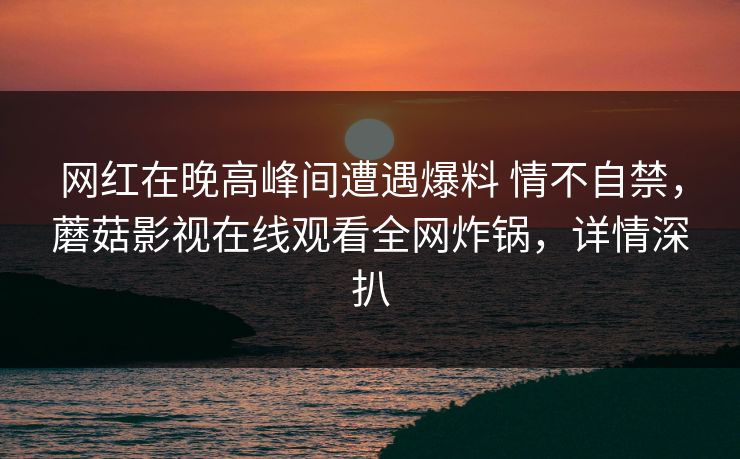 网红在晚高峰间遭遇爆料 情不自禁，蘑菇影视在线观看全网炸锅，详情深扒