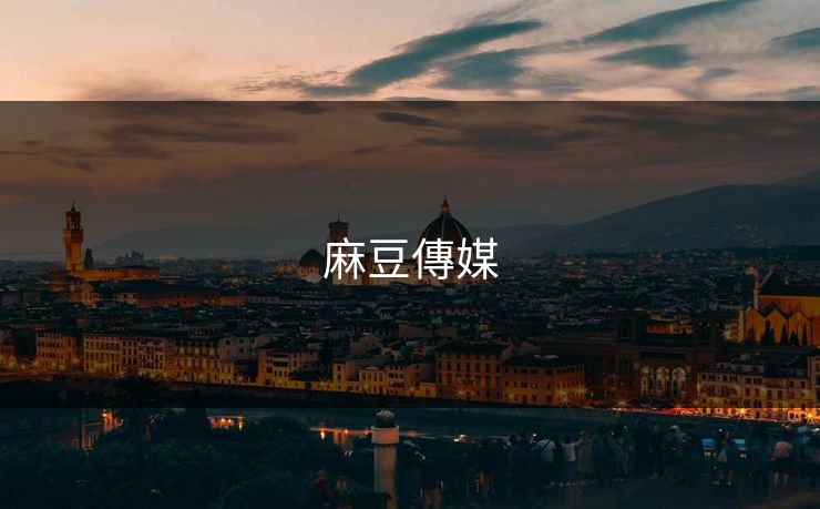 麻豆傳媒