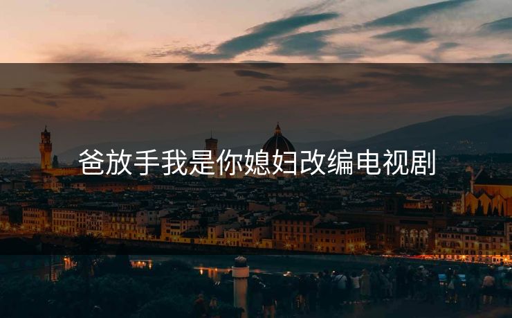 爸放手我是你媳妇改编电视剧